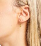 Bloom & Bay Star And Moon Gold Plated Earrings