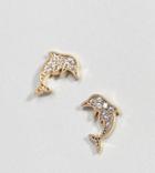 Orelia Gold Plated Crystal Dolphin Earrings - Gold