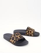 All Saints Mistley Slides In Leopard-multi