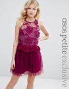 Asos Petite 3d Floral Lace Embroidered Mini Prom Dress - Pink