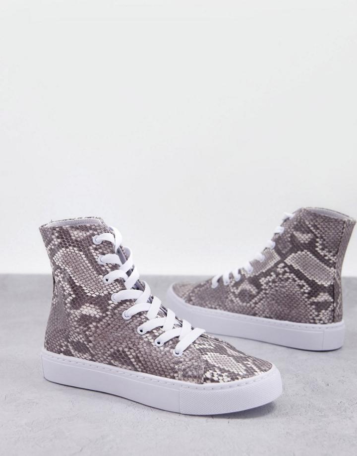 Asos Design Daz Canvas High Top Sneakers In Snake-multi