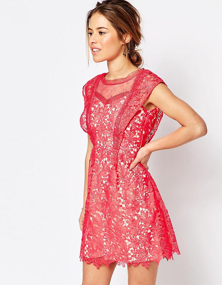 Little Mistress Petite All Over Lace Skater Mini Dress With Frill Sleeve Detail - Orange