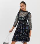 Little Mistress Petite All Over Floral Lace Midi Skater Dress In Black Multi - Multi