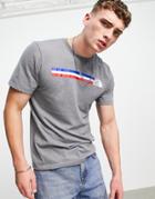 The North Face Usa T-shirt In Gray-grey