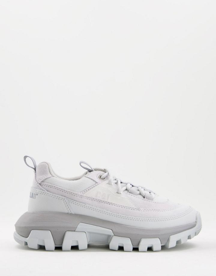 Cat Raider Sneakers In Glacier Gray-grey