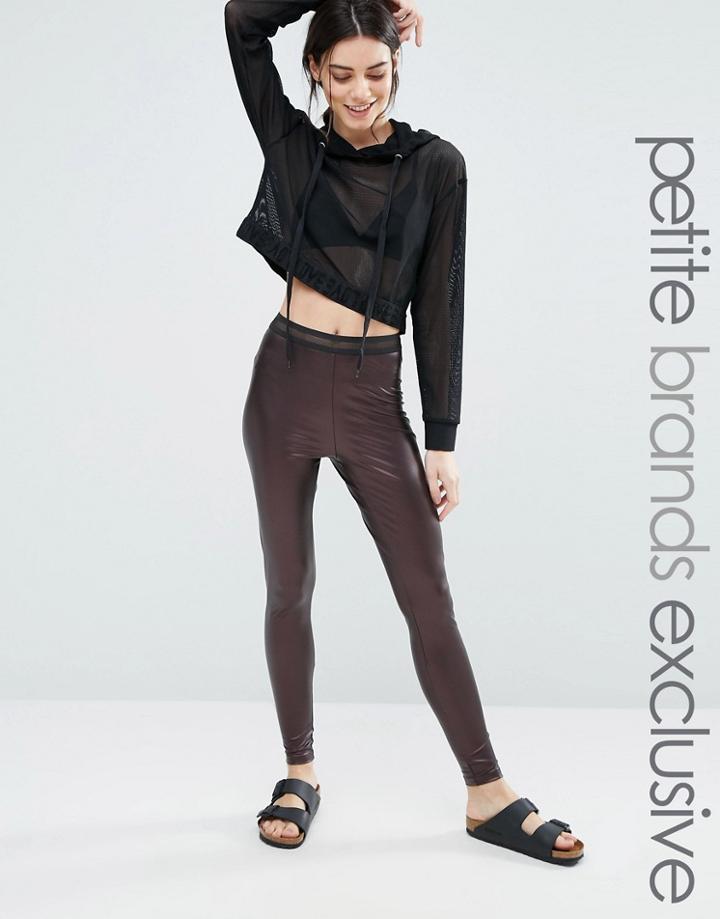 One Day Petite Pu Legging With Mesh Waist Detail - Brown