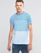 Bench Stripe T-shirt - Blue