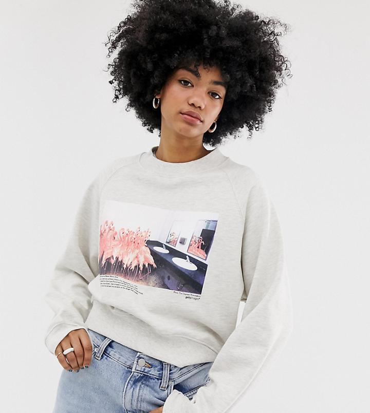 Weekday Graphic Flamingo Print Sweatshirt In Gray - Gray