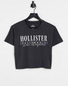 Hollister Logo T Shirt In Black