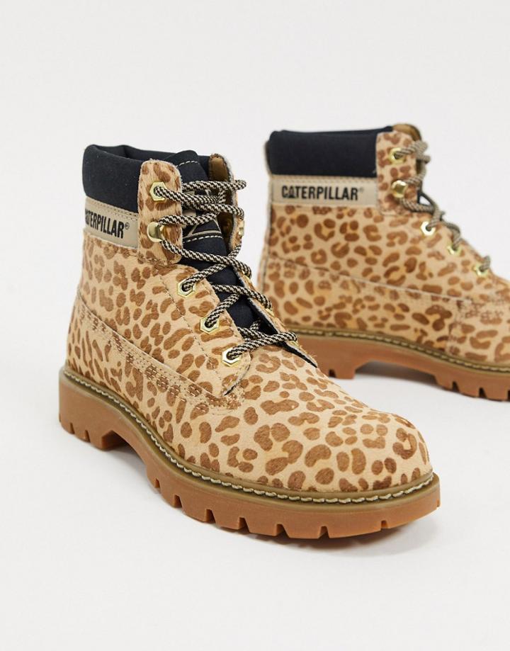 Cat Leather Hiker Boots In Leopard-multi