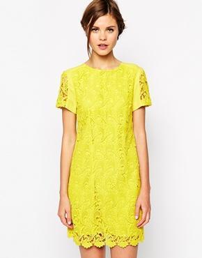 Oasis Lace Shift Dress - Chartreuse
