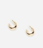 Aldo Glelassa Thick Hoop Earrings In Gold - Gold