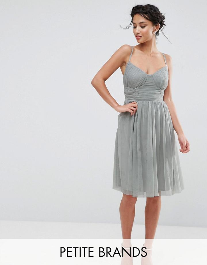 Little Mistress Petite All Over Tulle Prom Skater Dress With Corset Detail - Green