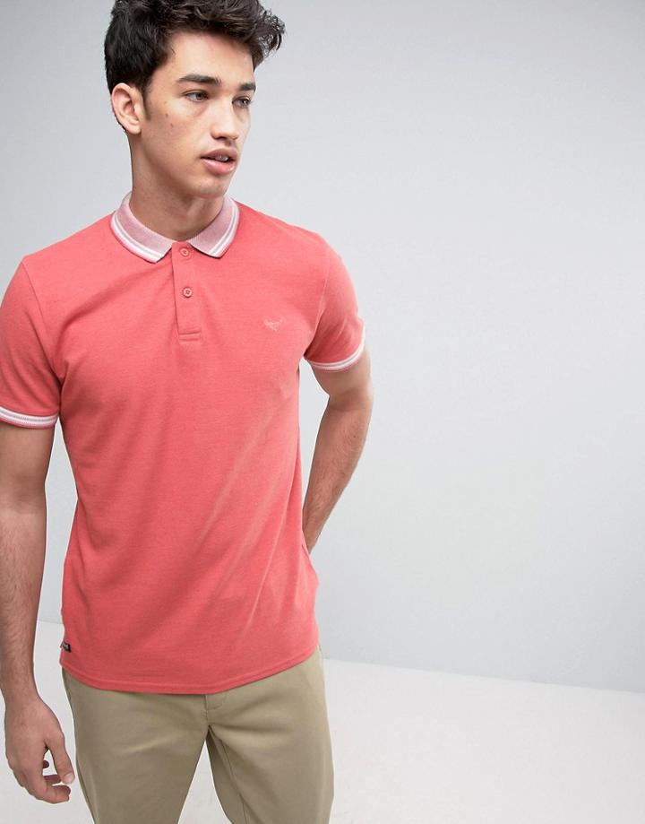 Threadbare Contrast Collar Plain Polo - Pink