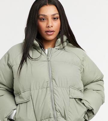 Threadbare Curve Tulip Oversized Padded Jacket-green