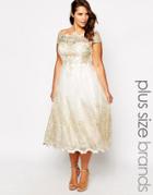 Chi Chi London Plus Metallic Lace Cap Sleeve Midi Prom Dress - Cream