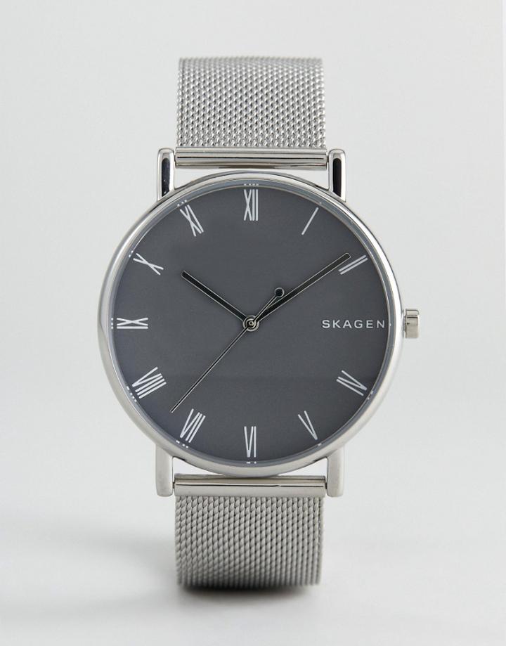 Skagen Skw6428 Signatur Mesh Watch In Silver - Silver