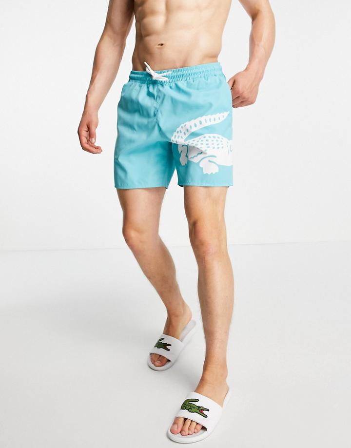 Lacoste Croc Logo Swim Shorts-blues