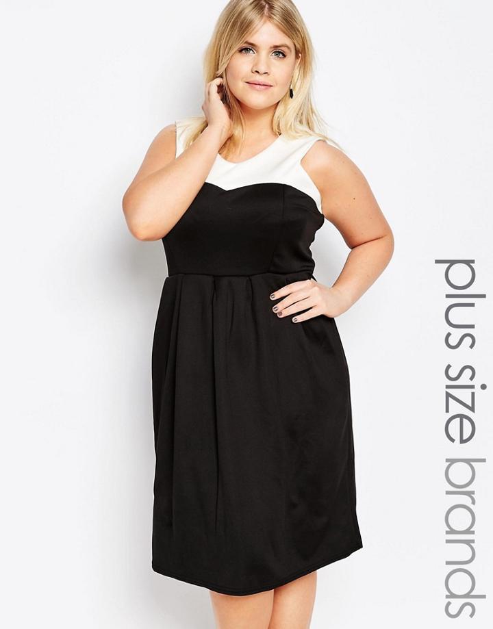 Praslin Plus Skater Dress With Contrast Top