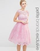 Chi Chi London Petite Premium Lace Midi Prom Dress With Bardot Neck - Pink