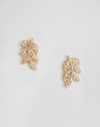 Designb London Leaf Stud Earrings - Gold
