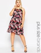 Praslin Plus Skater Dress With Lace Trim And Mesh Insert In Floral Print - Multi