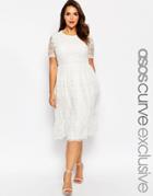 Asos Curve Midi Mesh Dress With Embroidery - Cream