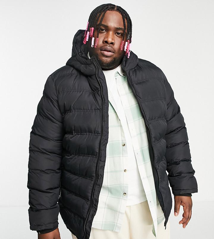 Threadbare Plus Puffer Jacket With Hood In Black