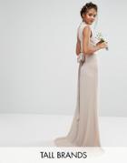Tfnc Tall Wedding High Neck Maxi Dress With Bow Back - Pink