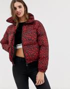 Qed London Leopard Print Cropped Padded Jacket - Red