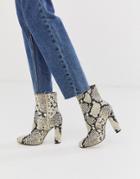 Call It Spring By Aldo Piellan Heeled Ankle Boots In Light Snake Print