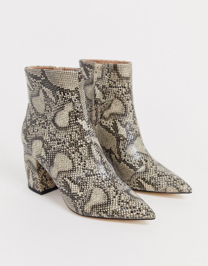 Office Aloud Pointed Block Heel Ankle Boots In Snake