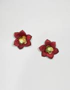 Asos Fall Flower Stud Earrings - Red