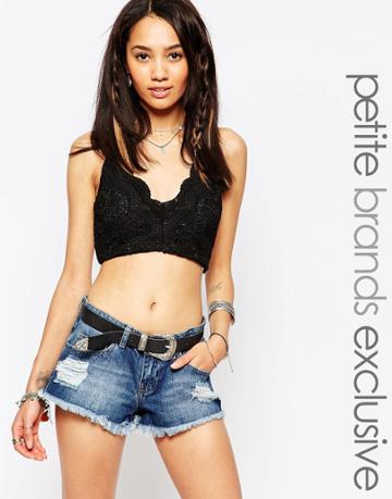 Tiger Mist Petite Love Again Lace Crop Top - Black