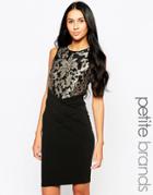 Little Mistress Petite Dress With Baroque Embroidered Panel - Black