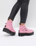 Dr Martens X Lazy Oaf Boots In Pink - Pink