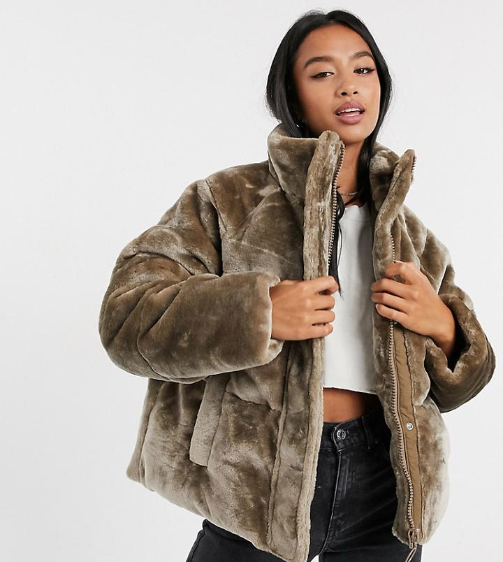 Asos Design Petite Plush Faux Fur Puffer Jacket In Mink-gray