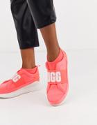 Ugg Neutra Logo Sneakers In Neon Coral