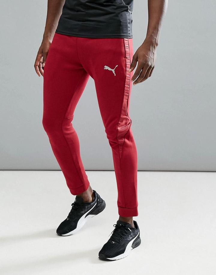 Puma Running Evostripe Shield Pants In Burgundy 59262609 - Red