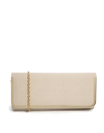 Aldo Athineum Faux Snake Clutch