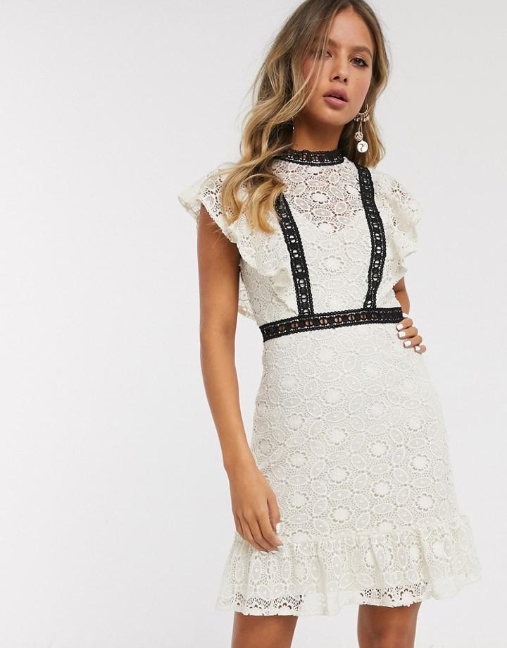 Little Mistress Lace Mini Dress With Contrast Detail In Cream-multi