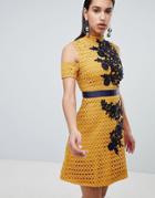 The 8th Sign Lace Skater Dress With Embroidered Detail - Yellow
