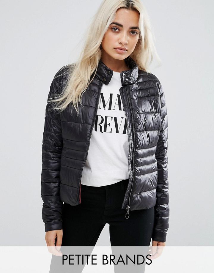 Vero Moda Petite Padded Jacket - Multi