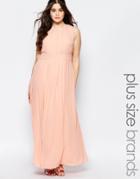 Lovedrobe Plus Bridesmaid Maxi Dress With Tie Neck - Soft Pink
