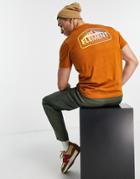 Element Malta Back Print T-shirt In Orange-brown