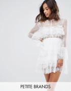 True Decadence Petite Premium Lace Ruffle Mini Dress With Sheer Sleeve Detail - White