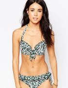 Pour Moi Daisy Padded Halter Top - Black Mix