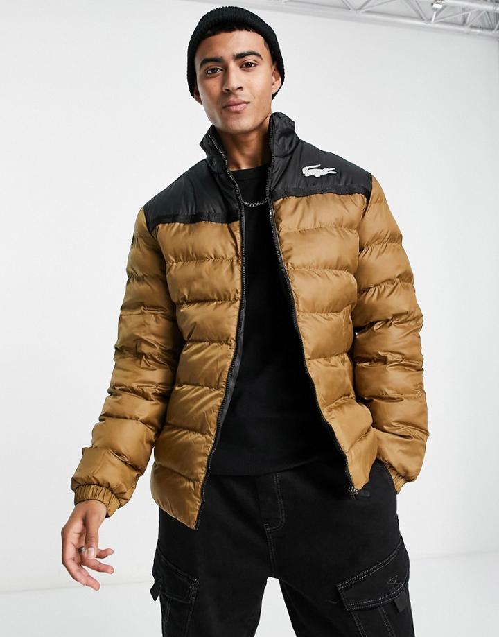 Lacoste Sport Puffer Jacket In Brown