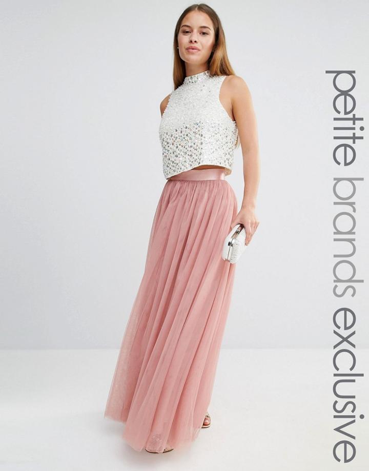 True Decadence Petite All Over Tulle Full Maxi Skirt - Mink