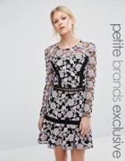 True Decadence Petite Allover Floral Lace Skater Dress - Multi